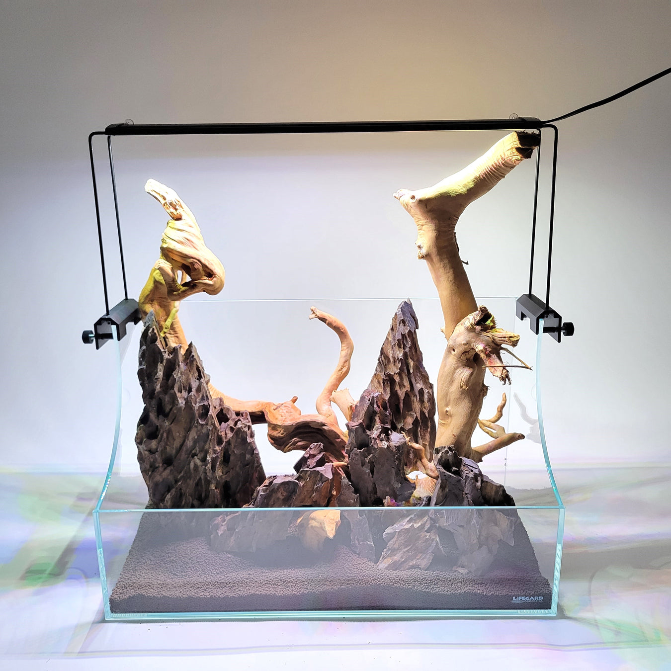 Terrariums
