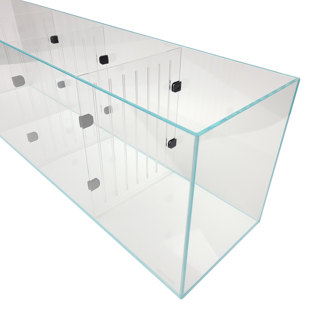 Gallery image with a fresh perspective