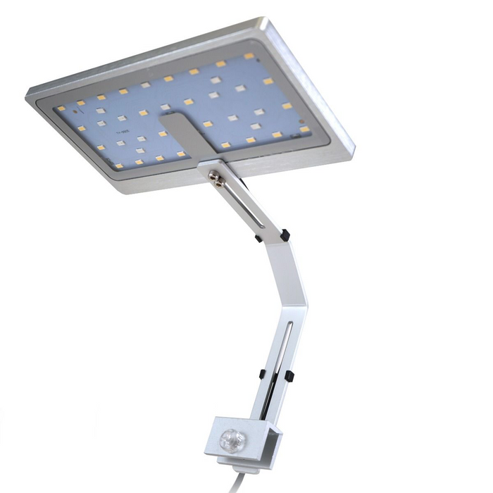 Dymax EclipseX Freshwater LED Light