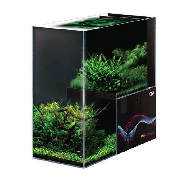 Dymax IQ9 12-Gallon Drop-Off Aquarium