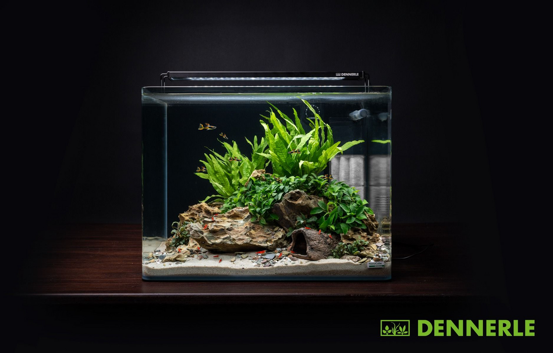 Dennerle Nano Tank Plant Pro, 55 L / 14.5 US Gal
