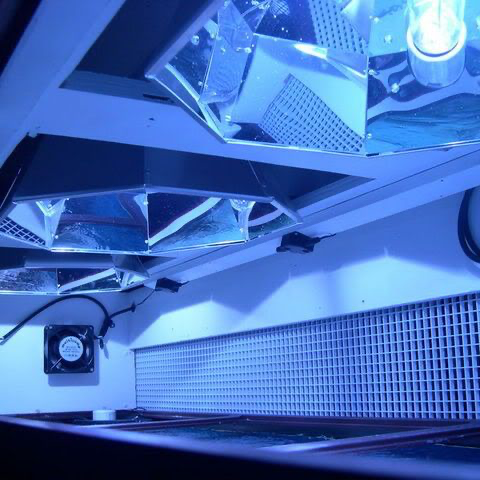 Lumen Bright Mini Metal Halide Reflector