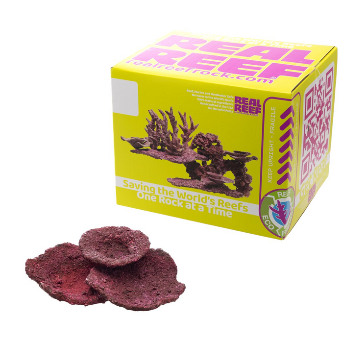 Real Reef Mini Plate Corals, 10 PC