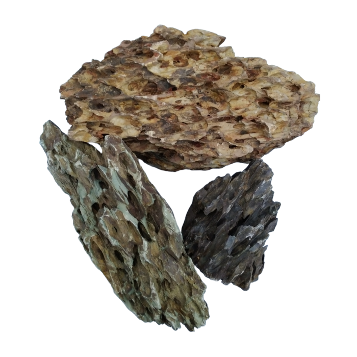 IceCap Dragon Stone, 44lbs