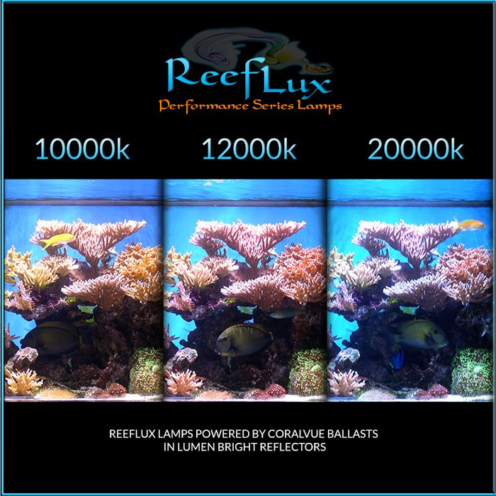 12K ReefLux 400w Mogul Base (SE) Bulbs