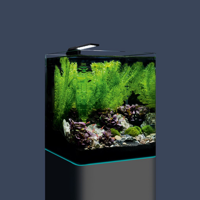 Dennerle Nano Cube Complete, 20 L / 5 US Gal