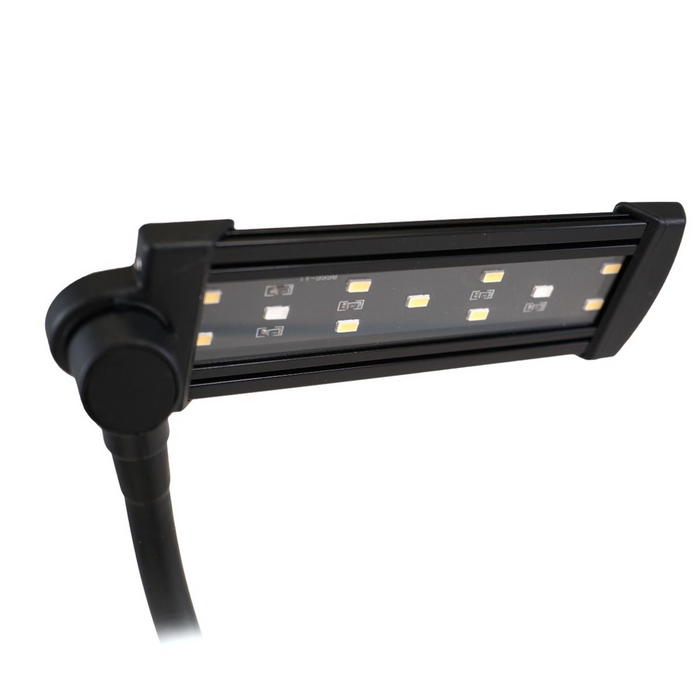 Dymax Flexz LED Light
