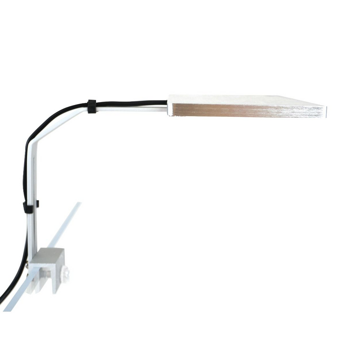 Dymax EclipseX Freshwater LED Light