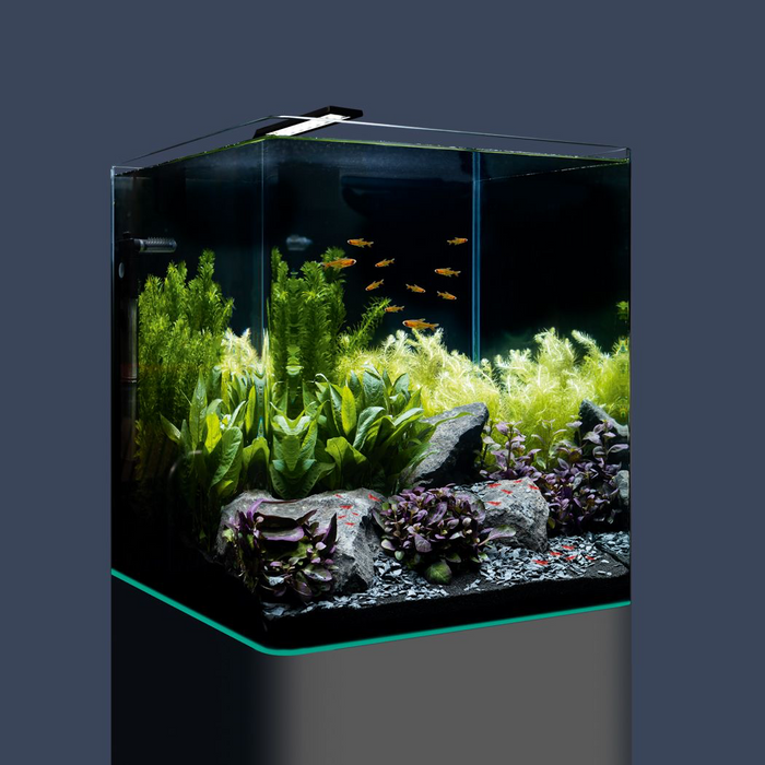 Dennerle Nano Cube Complete, 60 L / 16 US Gal