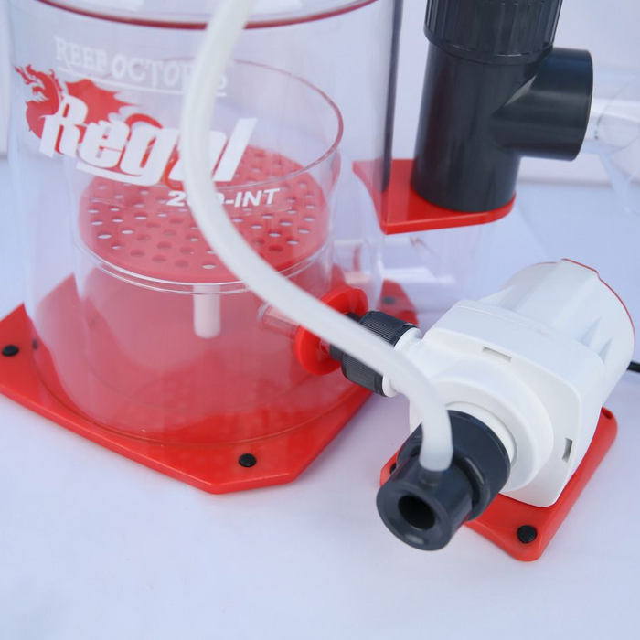 Regal 250INT Protein Skimmer