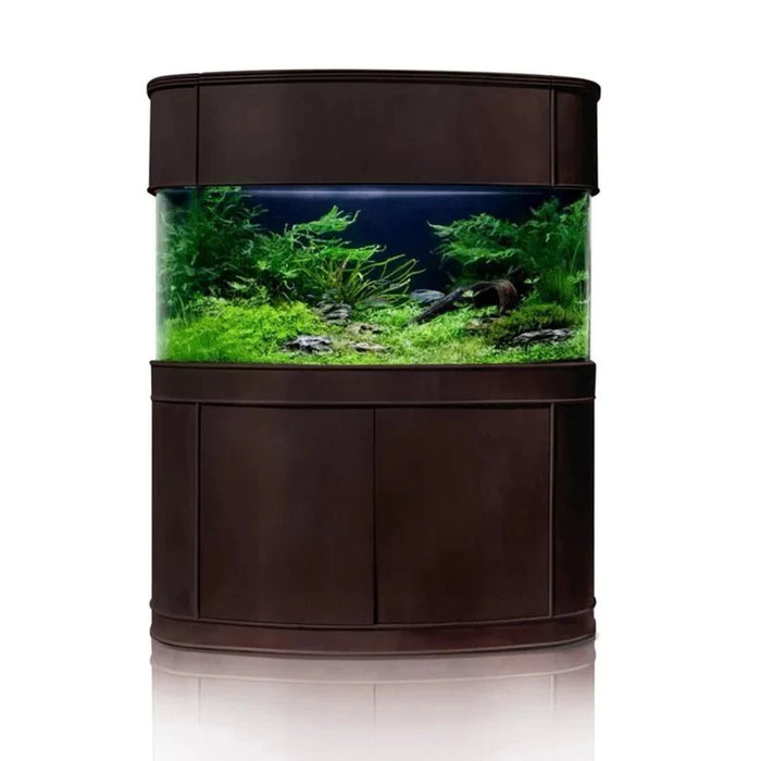 215g Seamless Glass Bowfront Reef-Ready Aquarium Set in Walnut