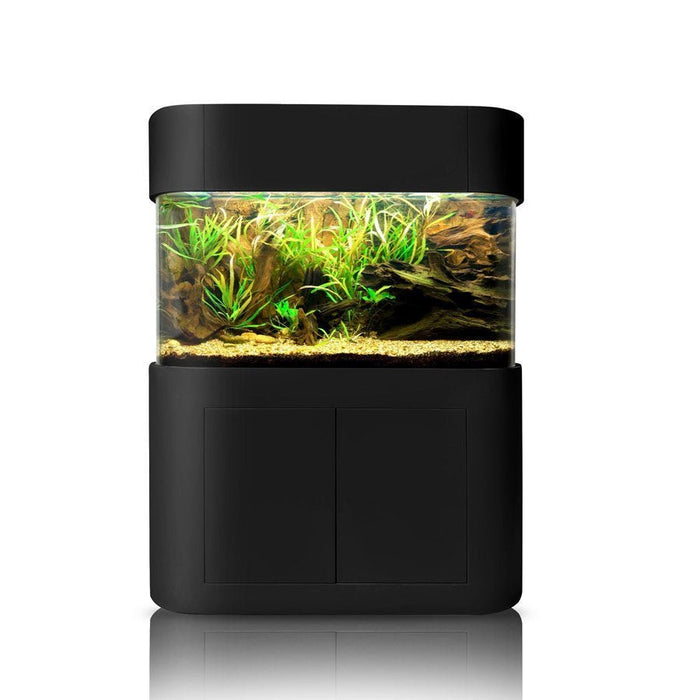 Glass Panoramic Flat